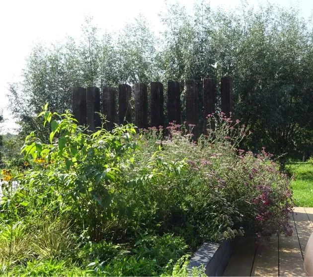 Weelderige border met vaste planten voor een houten schutting