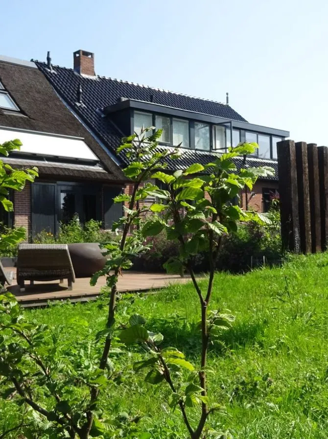 Landelijke tuin met jonge beplanting, terras en houten palissade